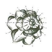 Shop Logo